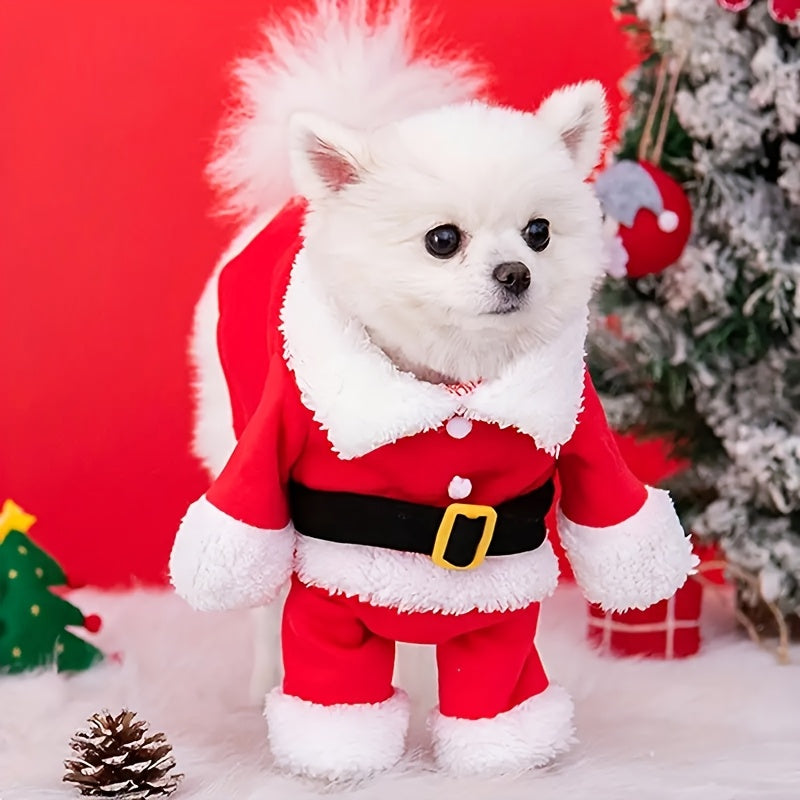 Classic Claus Pup Suit™
