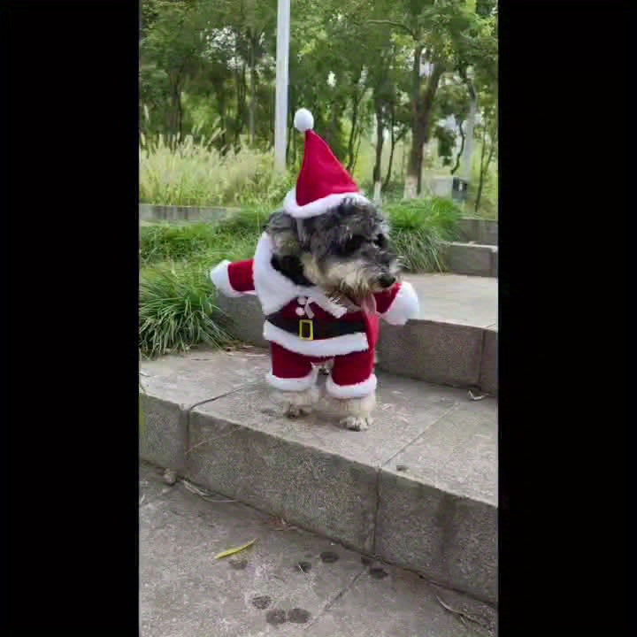 Classic Claus Pup Suit™
