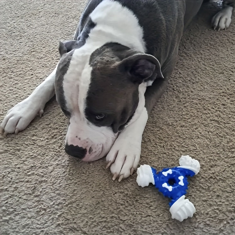 Nylon Dental Chew Stick™