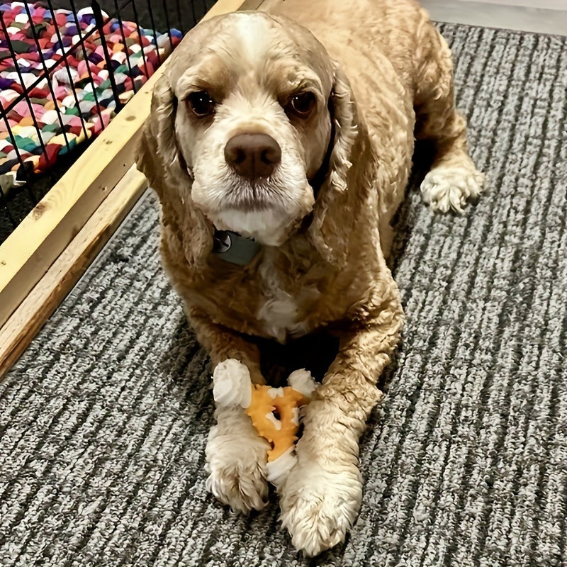 Nylon Dental Chew Stick™