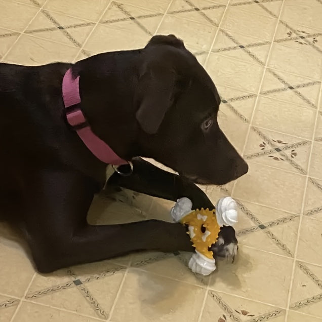 Nylon Dental Chew Stick™