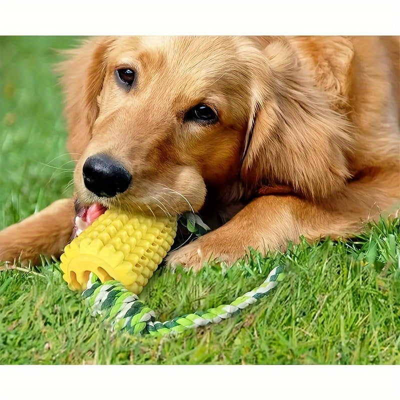 Durable Corn Chew Toy™