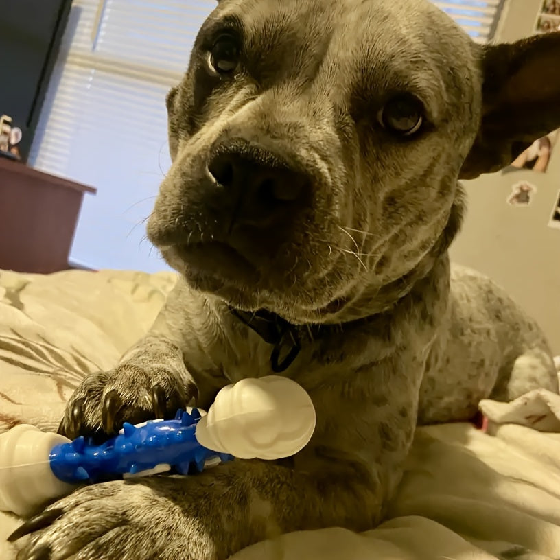 Nylon Dental Chew Stick™