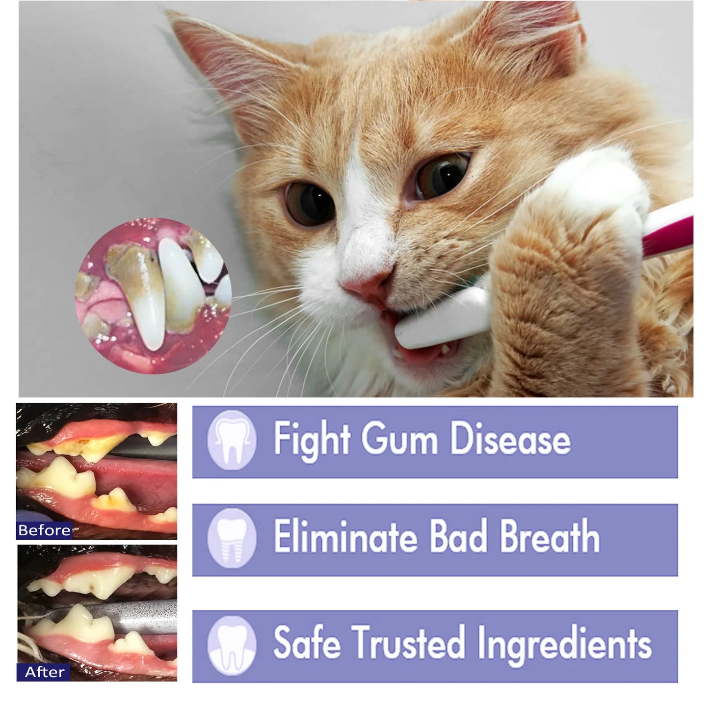 Yegbong 50g Pet Oral Cleaning furvana tm Cream Whiten Teeth Toothpaste Eliminate Bad Breath Cats Dogs Clean Tartar Teeth Stains Toothpaste