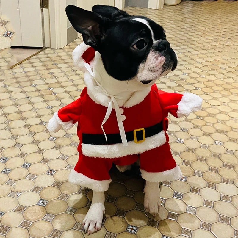 Santa Paws Jumpsuit™