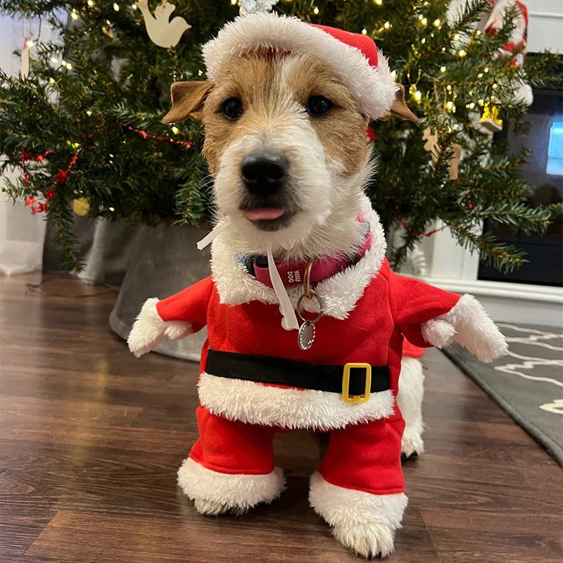 Santa Paws Jumpsuit™