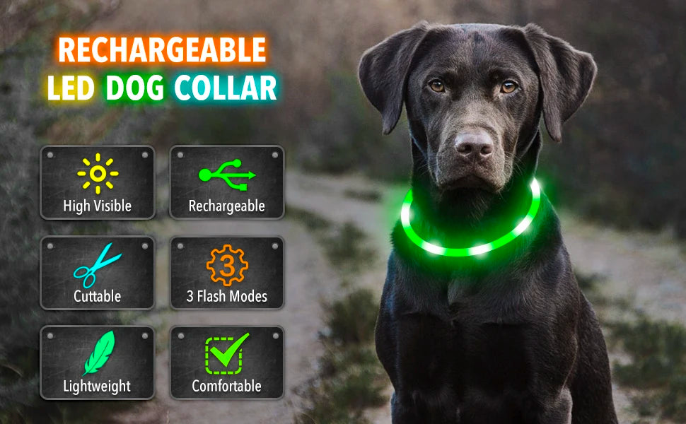 USB Rechargeable Luminous Collar Adjustable furvana tm Led Glowing Dog Collar for Large Small Dogs Cat Night Light Collar Pet Safety Harnes