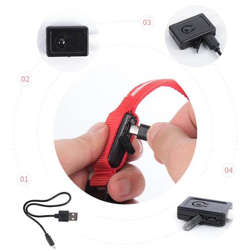 USB Rechargeable Luminous Collar Adjustable furvana tm Led Glowing Dog Collar for Large Small Dogs Cat Night Light Collar Pet Safety Harnes