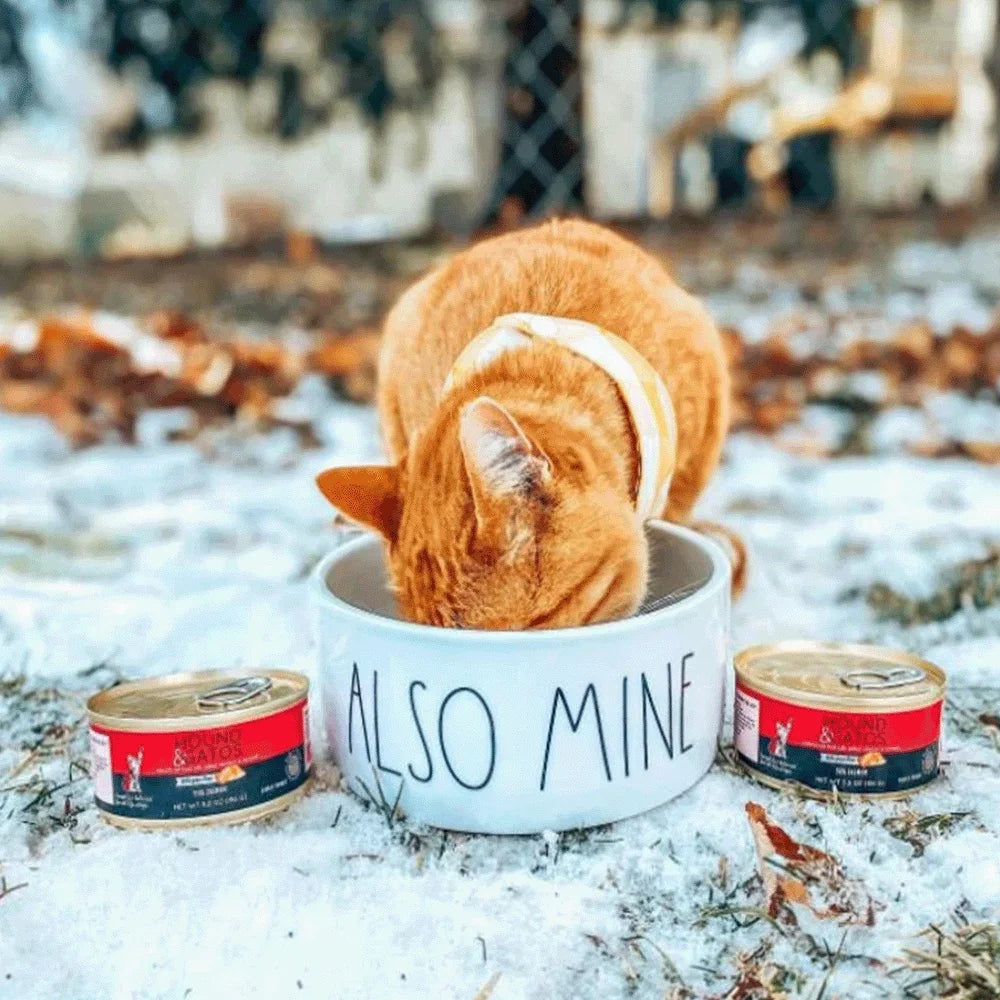 Customized Personalized Text Ceramic furvana tm Round Simple Pet Bowl Cat And Dog Food Bowl To Prevent Tipping Over Feeding Pet Supplies