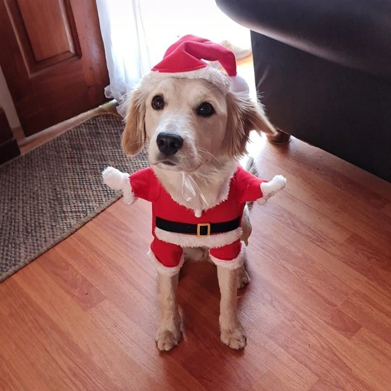 Santa Paws Jumpsuit™