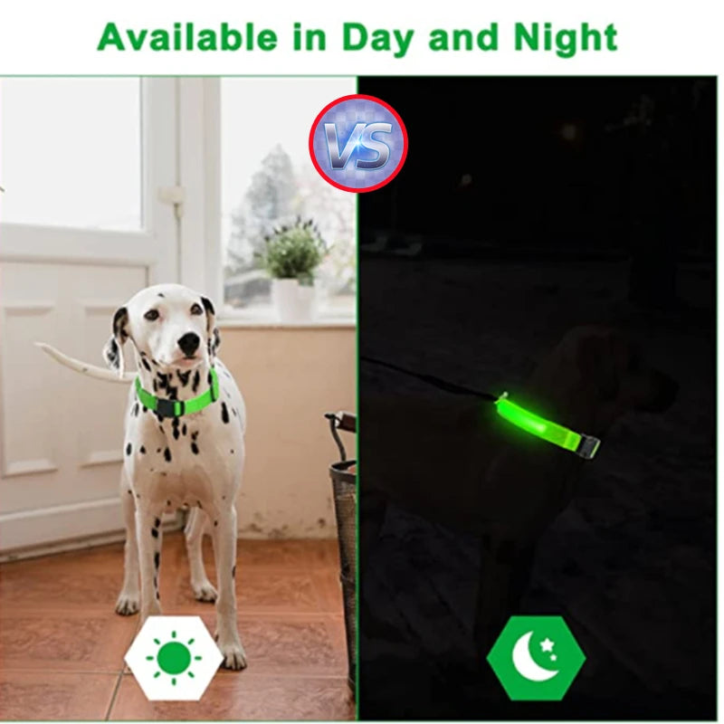 USB Rechargeable Luminous Collar Adjustable furvana tm Led Glowing Dog Collar for Large Small Dogs Cat Night Light Collar Pet Safety Harnes