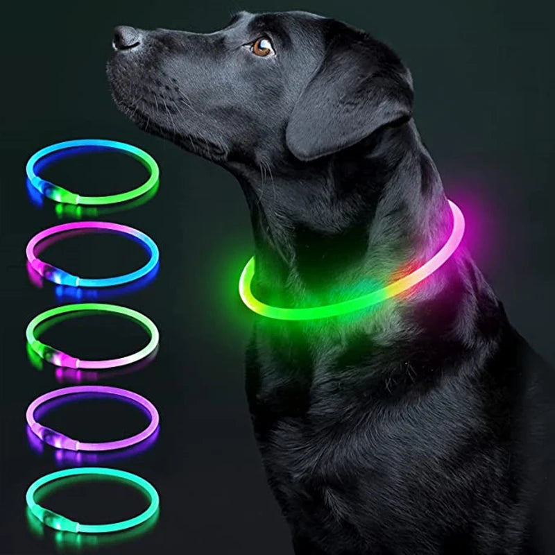 USB Rechargeable Luminous Collar Adjustable furvana tm Led Glowing Dog Collar for Large Small Dogs Cat Night Light Collar Pet Safety Harnes