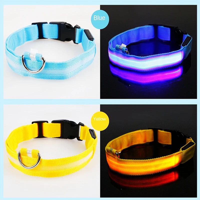 USB Rechargeable Luminous Collar Adjustable furvana tm Led Glowing Dog Collar for Large Small Dogs Cat Night Light Collar Pet Safety Harnes