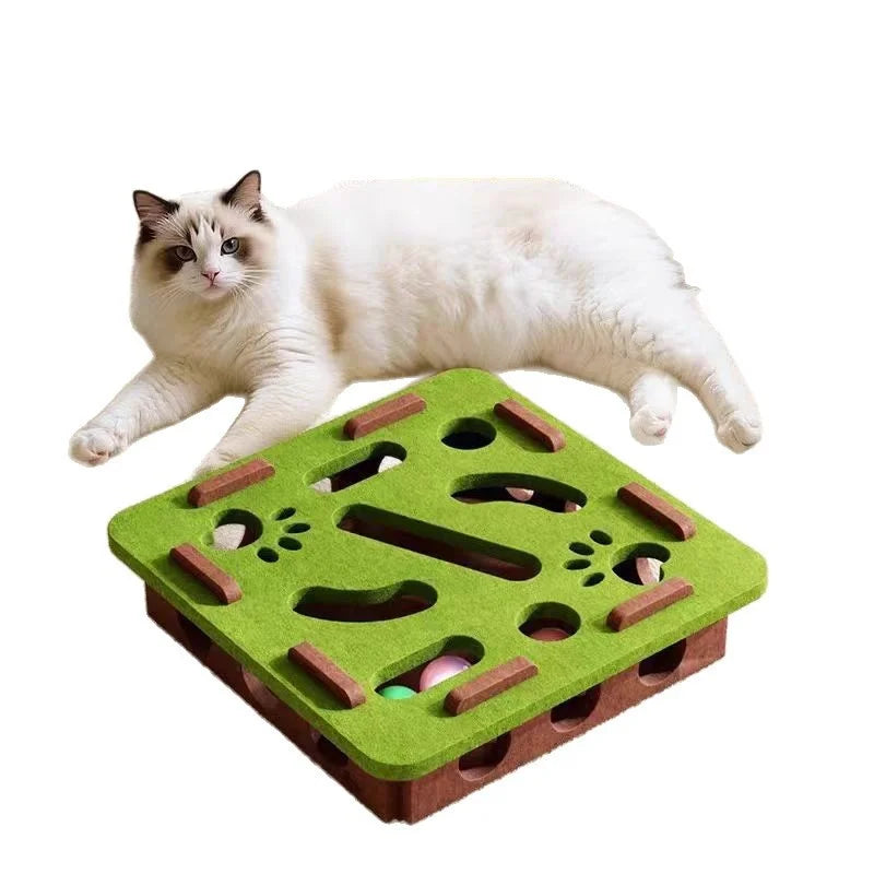 CatMaze FunBox™