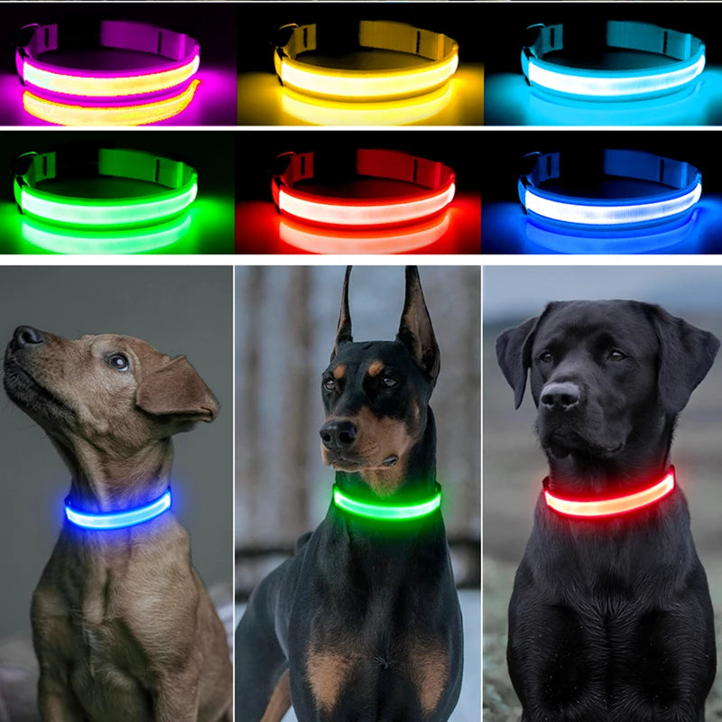 USB Rechargeable Luminous Collar Adjustable furvana tm Led Glowing Dog Collar for Large Small Dogs Cat Night Light Collar Pet Safety Harnes