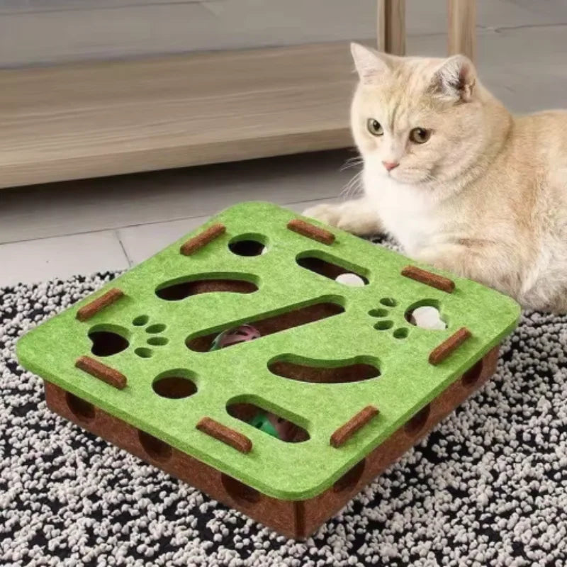CatMaze FunBox™