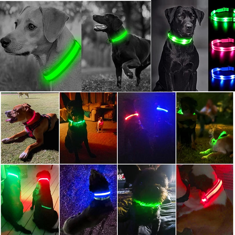 USB Rechargeable Luminous Collar Adjustable furvana tm Led Glowing Dog Collar for Large Small Dogs Cat Night Light Collar Pet Safety Harnes