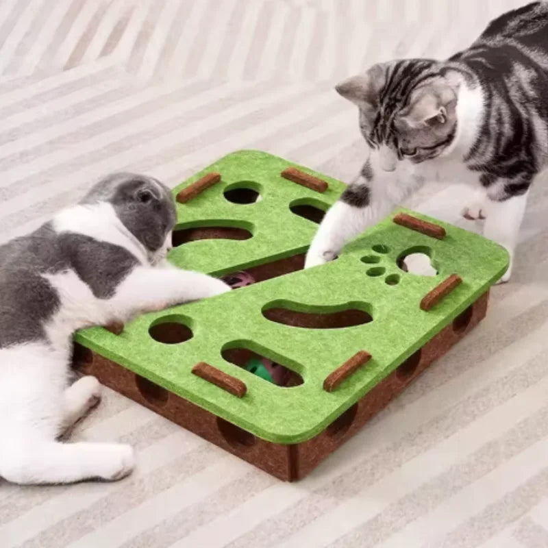 CatMaze FunBox™
