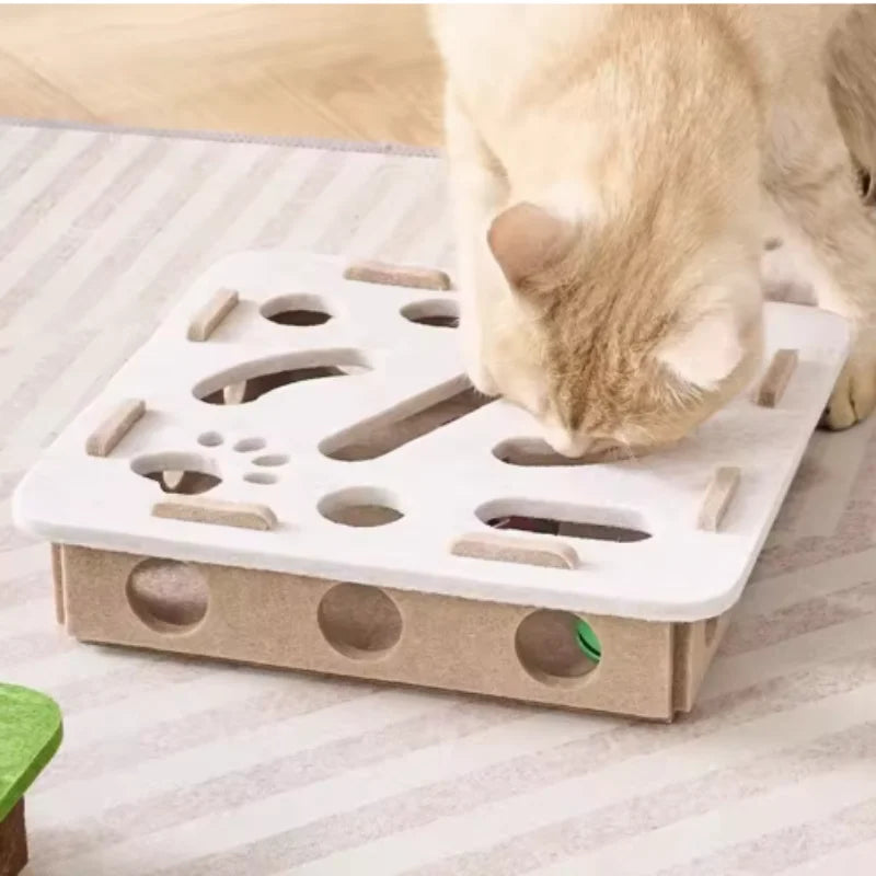 CatMaze FunBox™