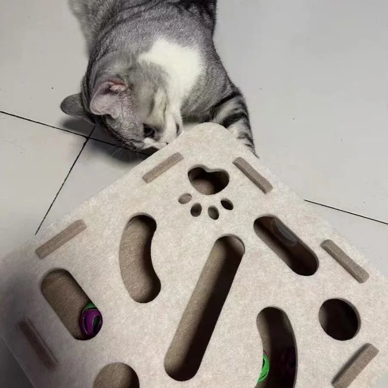 CatMaze FunBox™