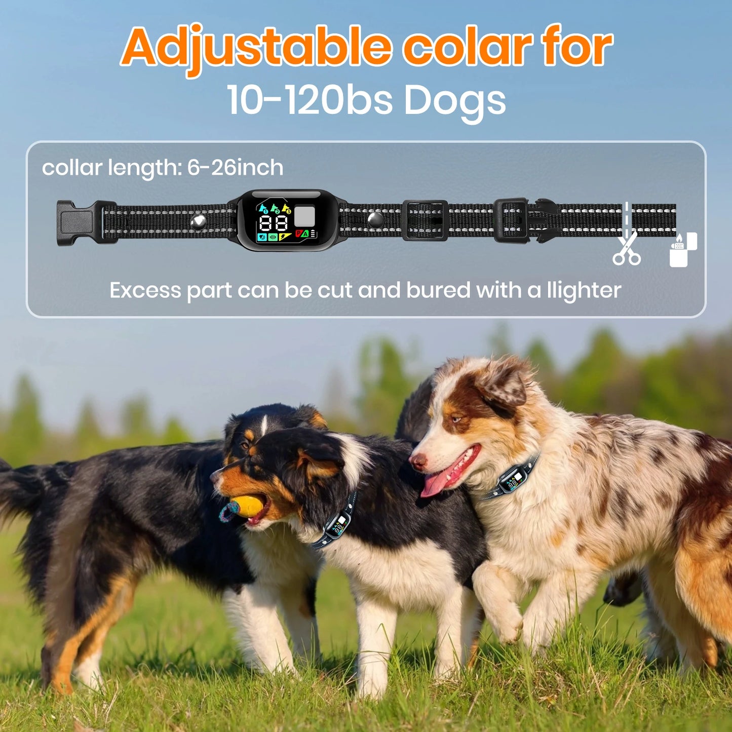 1000M Dog Training Collar with Remote furvana tm Control, Waterproof Electric Dog Collar,Automatic&training Shock Collar for 5-120lbs Dogs