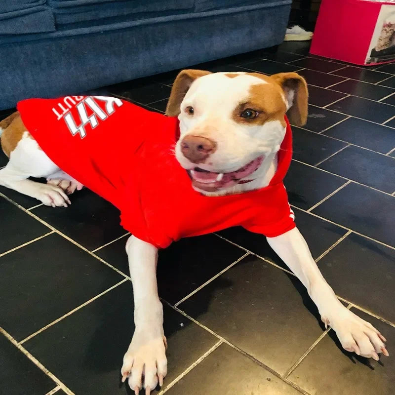 Large, Medium and Small Dogs, Velvet Warm Pet  furvana tm Clothing, Dog Clothes, Dog Hoodies, Dog Sweaters, Big Dogs