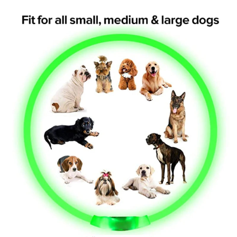 USB Rechargeable Luminous Collar Adjustable furvana tm Led Glowing Dog Collar for Large Small Dogs Cat Night Light Collar Pet Safety Harnes