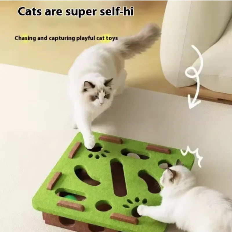 CatMaze FunBox™