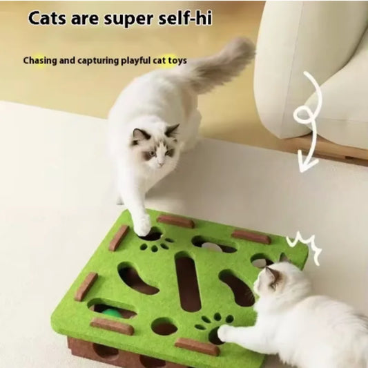 CatMaze FunBox™