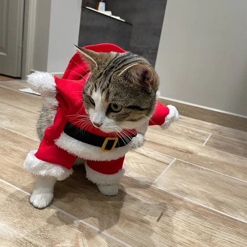 Santa Paws Jumpsuit™