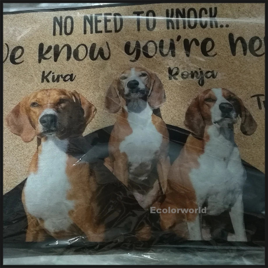 Personalized Dog Welcome  furvana tmMat Custom Doormat With Pet's Photo Name Hallway Doorway Floor Mats Carpet Home Decor Accessory