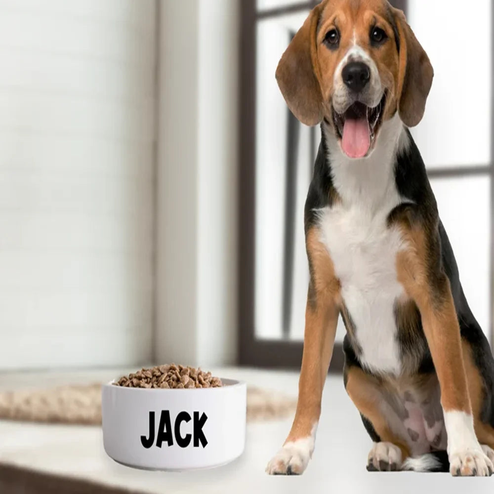 Customized Personalized Text Ceramic furvana tm Round Simple Pet Bowl Cat And Dog Food Bowl To Prevent Tipping Over Feeding Pet Supplies