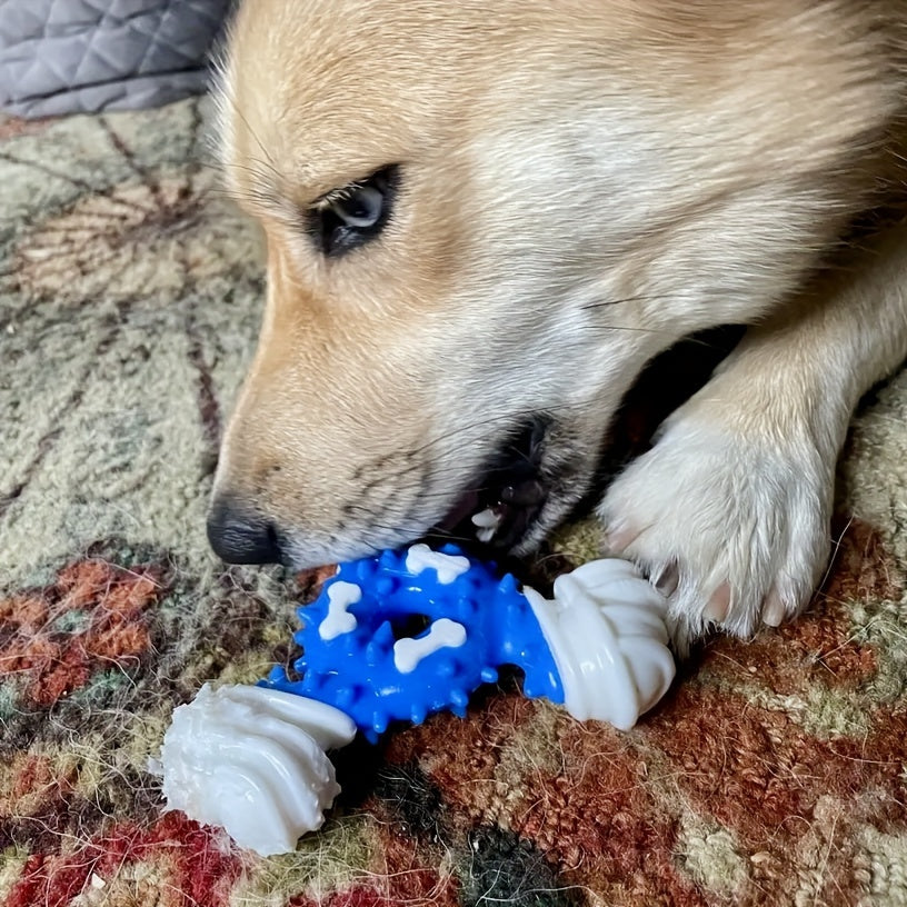 Nylon Dental Chew Stick™