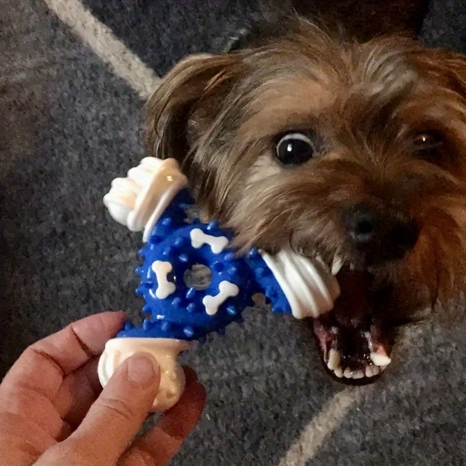 Nylon Dental Chew Stick™