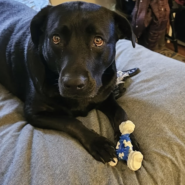 Nylon Dental Chew Stick™