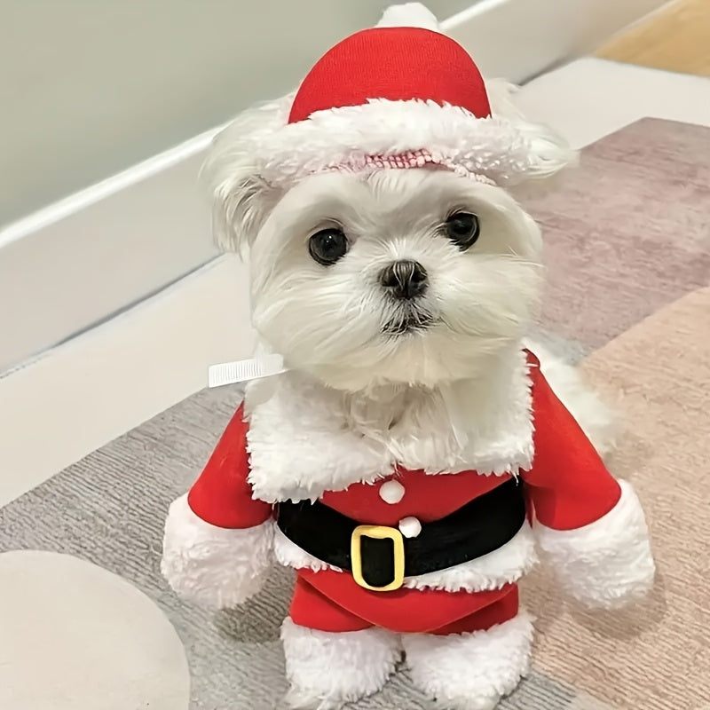 Classic Claus Pup Suit™