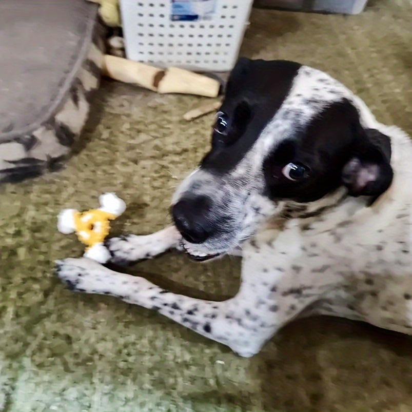 Nylon Dental Chew Stick™