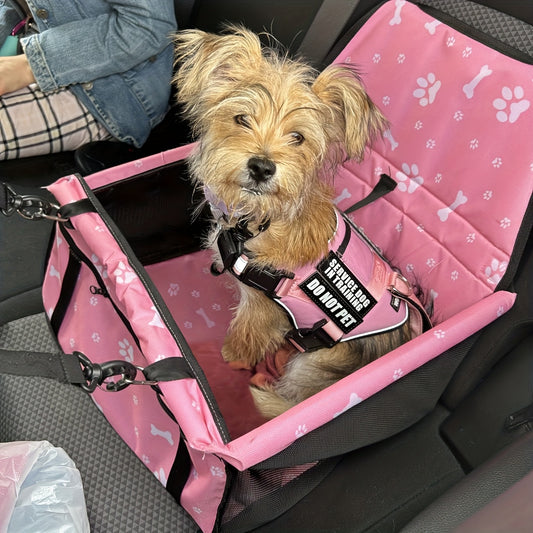 TravelBuddy Booster Seat™