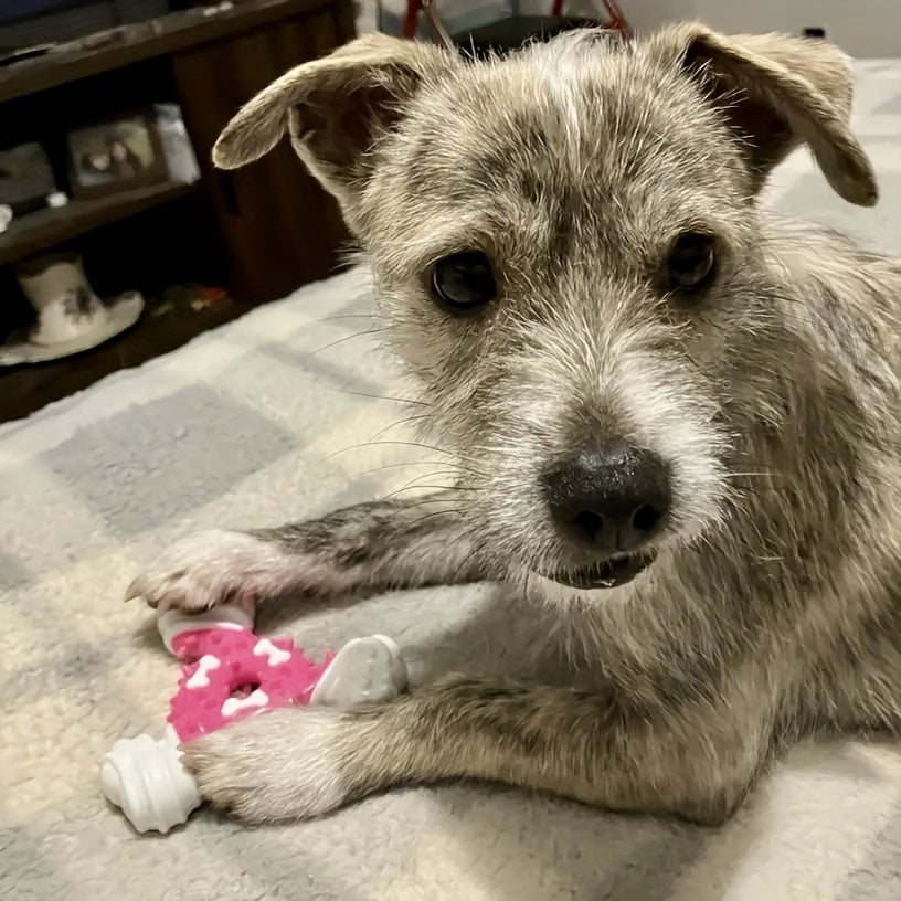 Nylon Dental Chew Stick™