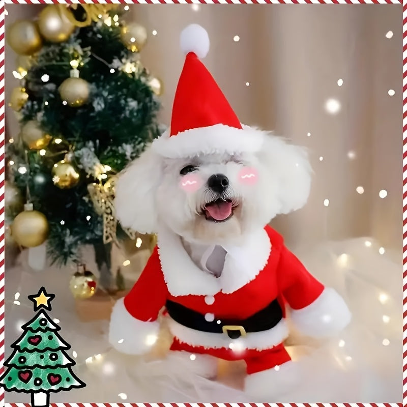 Classic Claus Pup Suit™
